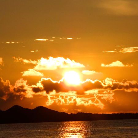 Guesthouse Ho Aloha Ishigaki  Eksteriør bilde